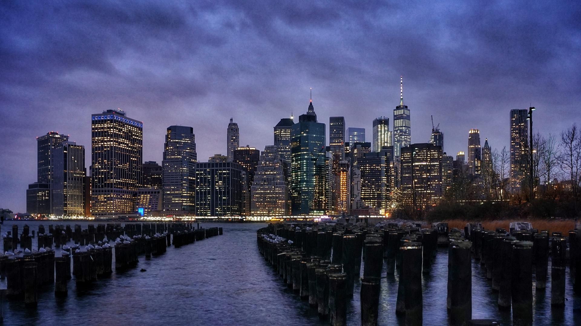 I bellissimi video di Eleonora: NYC